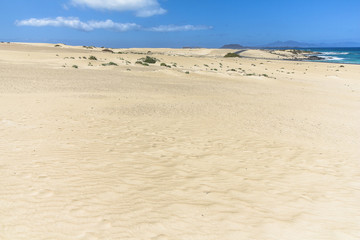 Endless and wide sand dunes, Dunas de Corralejo, Fuerteventura