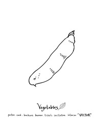 농산물 일러스트 / 손으로 그린 과일과 채소 그림