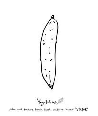 농산물 일러스트 / 손으로 그린 과일과 채소 그림