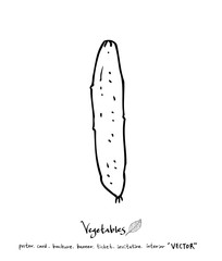 농산물 일러스트 / 손으로 그린 과일과 채소 그림