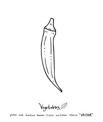 농산물 일러스트 / 손으로 그린 과일과 채소 그림
