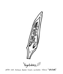 농산물 일러스트 / 손으로 그린 과일과 채소 그림