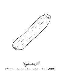 농산물 일러스트 / 손으로 그린 과일과 채소 그림