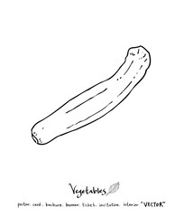 농산물 일러스트 / 손으로 그린 과일과 채소 그림