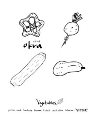 농산물 일러스트 / 손으로 그린 과일과 채소 그림