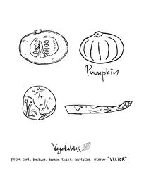 농산물 일러스트 / 손으로 그린 과일과 채소 그림