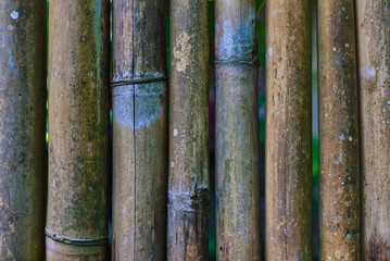 Old dark  of  bamboo fence. Close-up of old used weathered abandoned bamboo rough surface fence decoration as backdrop or background. Vintage background and wallpaper. Design of asian style bamboo.