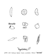농산물 일러스트 / 손으로 그린 과일과 채소 그림