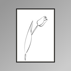 Tulip posterin black and white for interior decor