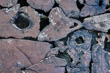 Big trunk texture, tree background. Cut texture of the old tree. Abstract wood face cut texture pattern background. Hole in log decay and leave background. Old natural wooden shabby background.