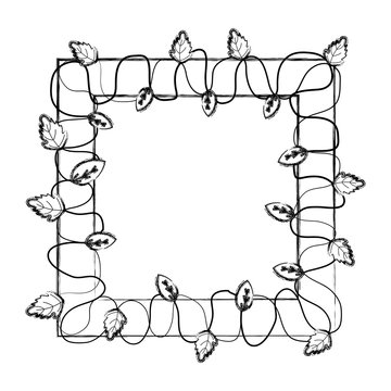 grunge squard frame with branches leaves plants