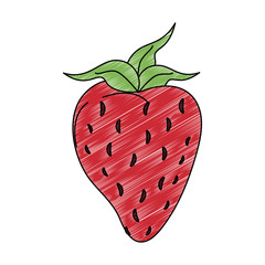 Strawberry natural fruit vector illustration graphic design