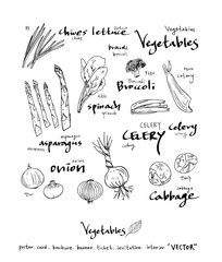 농산물 일러스트 / 손으로 그린 과일과 채소 그림