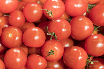 Group of fresh tomatoes. small tomato harvest. many tomatoes. tomatoes from field.