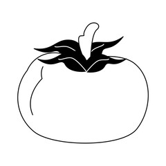 Tomato fresh and natural vegetable vector illustration graphic design