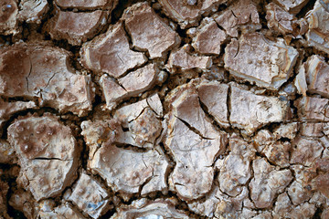Cracked dry land without water-color effect