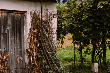 Old wooden door on village barn. Old and broken wooden door. Dry straw near the barn at autumn season. Rural with traditional Georgian farm on the backyard. Dry hay in the sun. Agriculture concept.