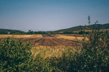 Autumn rural landscape. Fields after harvesting grass. Beautiful landscape with colorful yellow fields and the green hills on the horizon. Blue sky and white clouds. Agriculture concept.