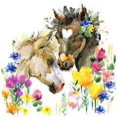 cute foal watercolor illustration. little horse in the summer flowers © Елена Фаенкова