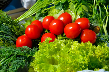 Lettuce leaves in the kitchen close up. Tomatoes and garlic in the background