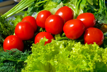 Lettuce leaves in the kitchen close up. Tomatoes and garlic in the background