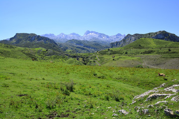 Fototapeta premium Asturias