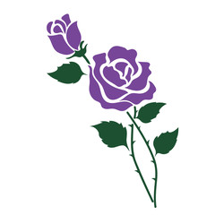 Nature flower purple rose