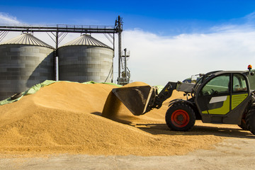 small loader of grain from a pile of wheat near a silo © GratielaLoredana