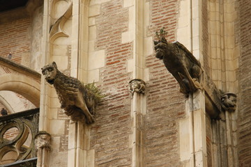 Gargouilles de la cathédrale Saint Etienne à Toulouse, Haute Garonne