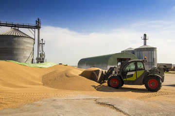 small loader of grain from a pile of wheat near a silo