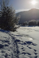 Winter landscape. Trees covered with snow, frozen river, path in snowdrift and silhouette of hill, vertical