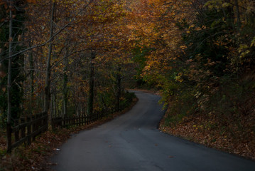 Strada con curve in autunno