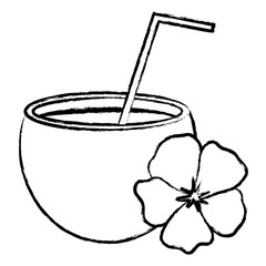 coconut cocktail and tropical flower over white background, vector illustration