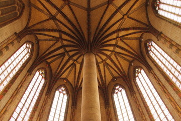 Palmier du couvent des Jacobins à Toulouse, Haute Garonne	