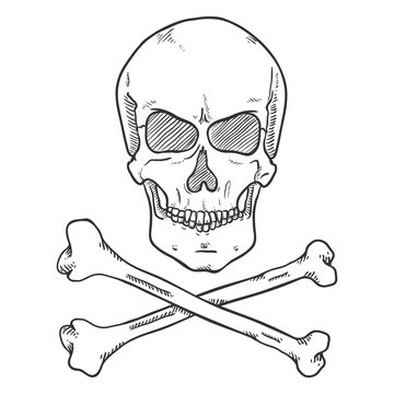 Vector Sketch Pirate Symbol - Skull with Cross Bones