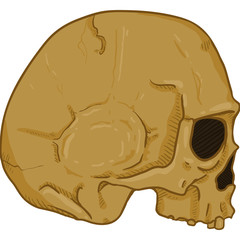 Vector Cartoon Illustration - Old Brown Human Skull