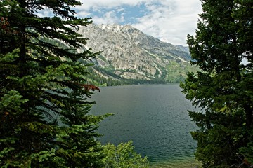 Fototapeta na wymiar Landschaft am Jenny Lake im Grand teton Nationalpark