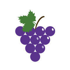 Healthy organic fruit purple grape