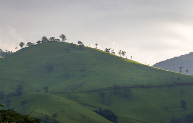 Montanha Verde Iluminada pelo Sol em Virgínia Sul de Minas