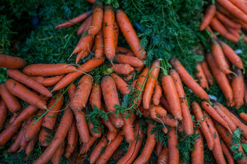 Beautiful fresh bunches of colorful orange carrots with green tops for sale on a display. Farmers' food market stall with organic vegetable. Healthy farm fresh vegetables. Selective focus.