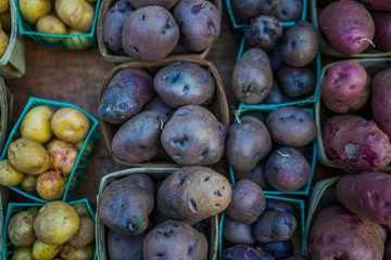 Organic potatoes. Farm fresh vegetable. Beautifully displayed in attractive baskets. Eco potatoes on sale at outdoor farmers market. Raw potato food. Different varieties of potatoes in a shelf.