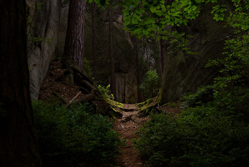 alley in the forest, Czech Republic, Adrspach ,rock city
