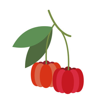 Healthy organic pitanga