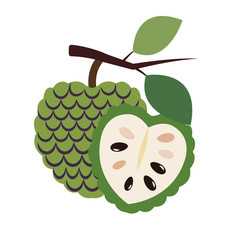 Healthy organic cherimoya