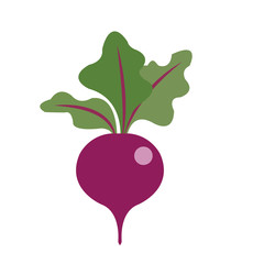 Nature organic vegetable Beet