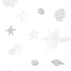 Sea world seamless pattern, background with fish, corals and shells on white background. Stock vector illustration. In monochrome gray colors