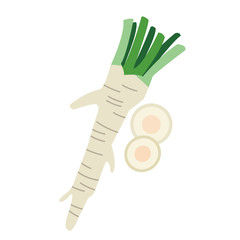 Nature organic vegetable Horseradish