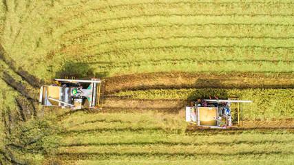 Fototapeta na wymiar Combine harvester machine with rice farm.Aerial view and top view. Beautiful nature background.
