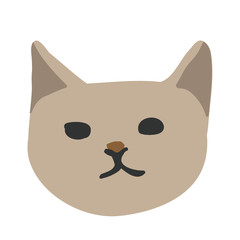 Cute kitty cat face nursery animal pet