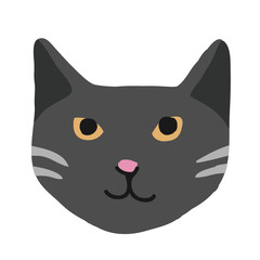 Cute kitty cat face nursery animal pet